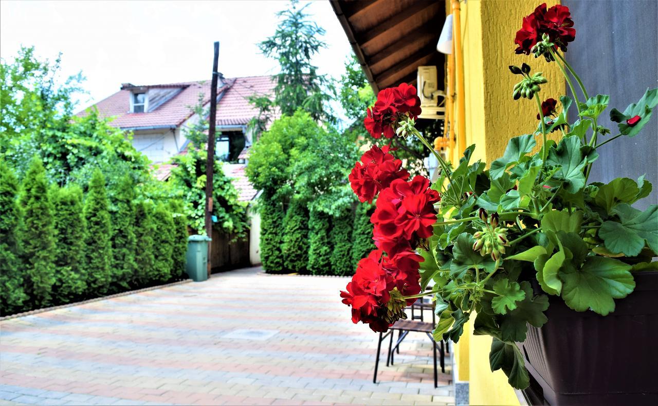 House Apartment Minerilor Kluž Exteriér fotografie